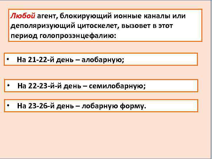 Любой агент, блокирующий ионные каналы или деполяризующий цитоскелет, вызовет в этот период голопрозэнцефалию: •