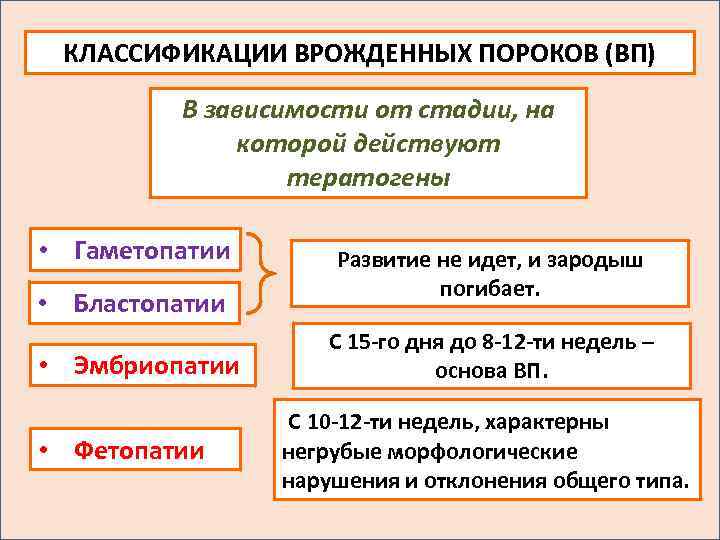 КЛАССИФИКАЦИИ ВРОЖДЕННЫХ ПОРОКОВ (ВП) В зависимости от стадии, на которой действуют тератогены • Гаметопатии