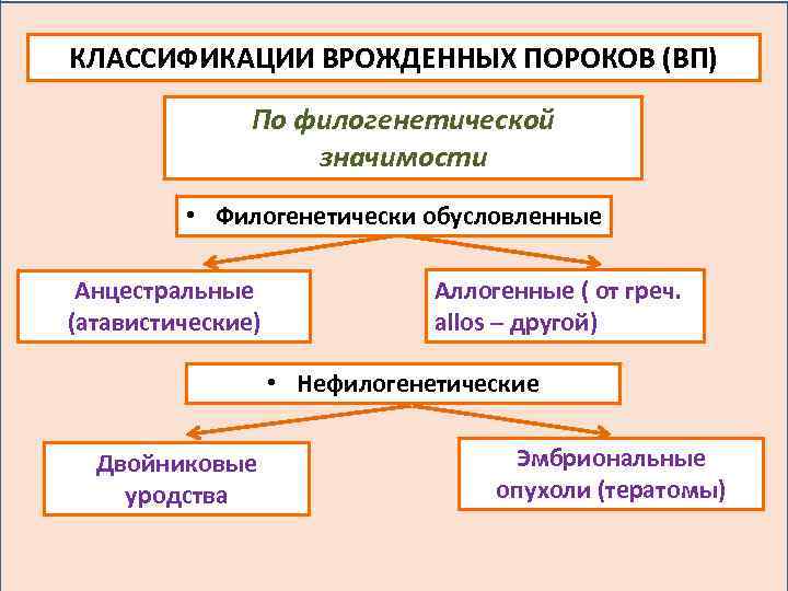 КЛАССИФИКАЦИИ ВРОЖДЕННЫХ ПОРОКОВ (ВП) По филогенетической значимости • Филогенетически обусловленные Анцестральные (атавистические) Аллогенные (