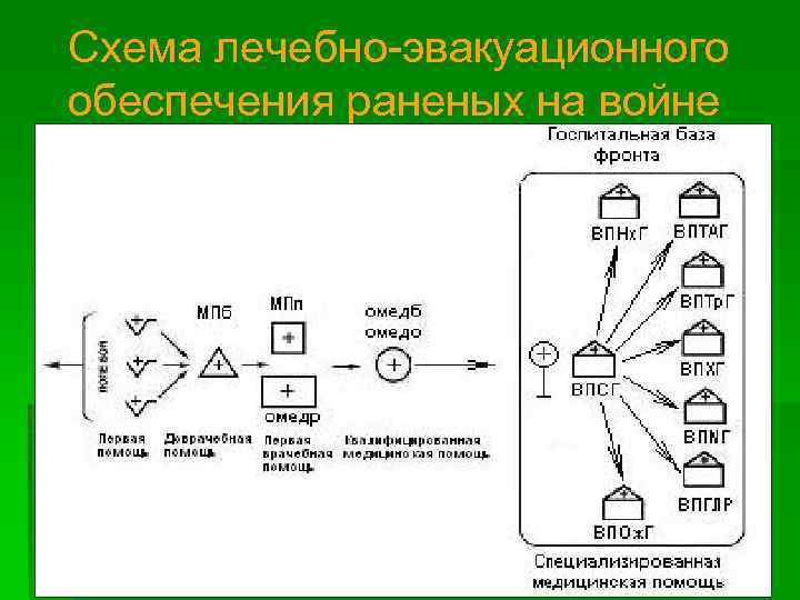 Схема лечебно эвакуационного обеспечения раненых на войне 