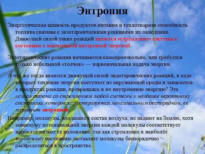 Энтропия Энергетическая ценность продуктов питания и теплотворная способность топлива связаны с экзотермическими реакциями их