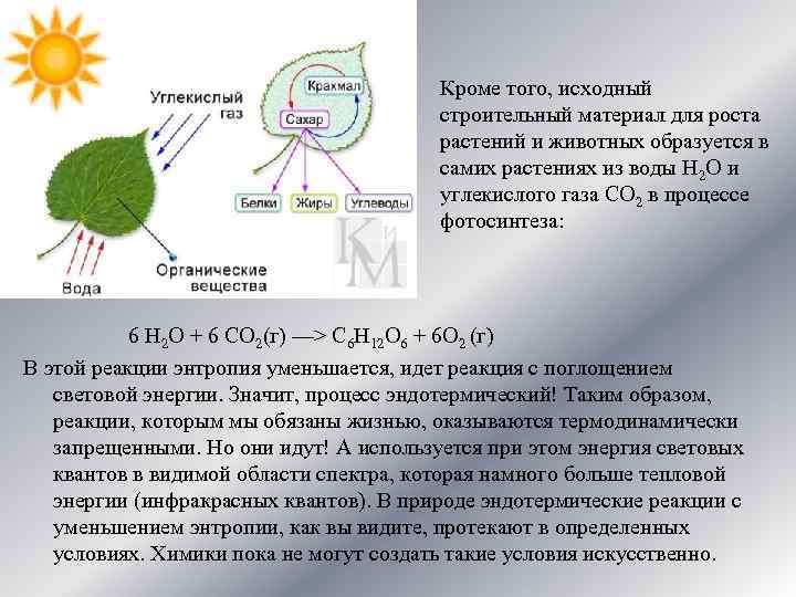 Кроме того, исходный строительный материал для роста растений и животных образуется в самих растениях