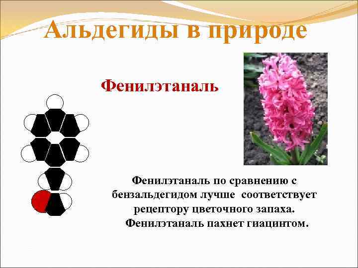 Альдегиды в природе Фенилэтаналь по сравнению с бензальдегидом лучше соответствует рецептору цветочного запаха. Фенилэтаналь