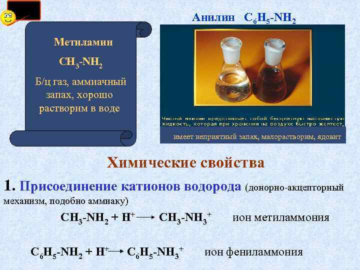 Анилин С 6 Н 5 -NH 2 Метиламин СН 3 -NH 2 Б/ц газ,