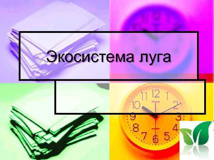 Экосистема луга 