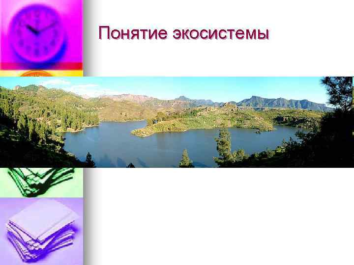 Понятие экосистемы 