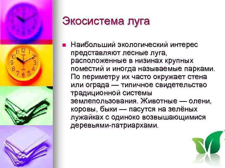 Экосистема луга n Наибольший экологический интерес представляют лесные луга, расположенные в низинах крупных поместий