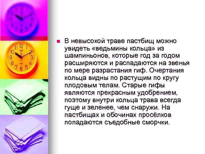 n В невысокой траве пастбищ можно увидеть «ведьмины кольца» из шампиньонов, которые год за