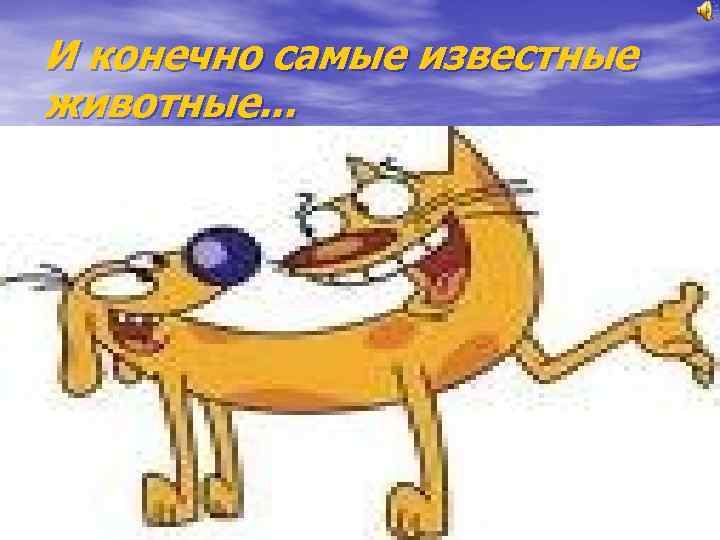 И конечно самые известные животные. . . 