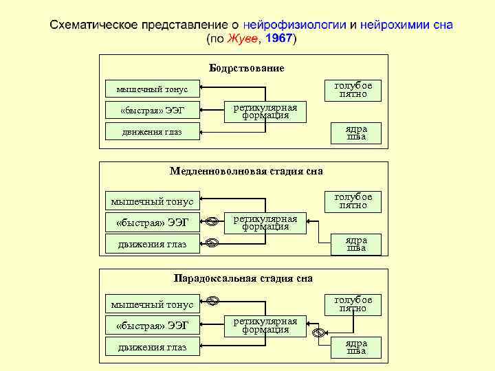 Нейрохимия сна презентация