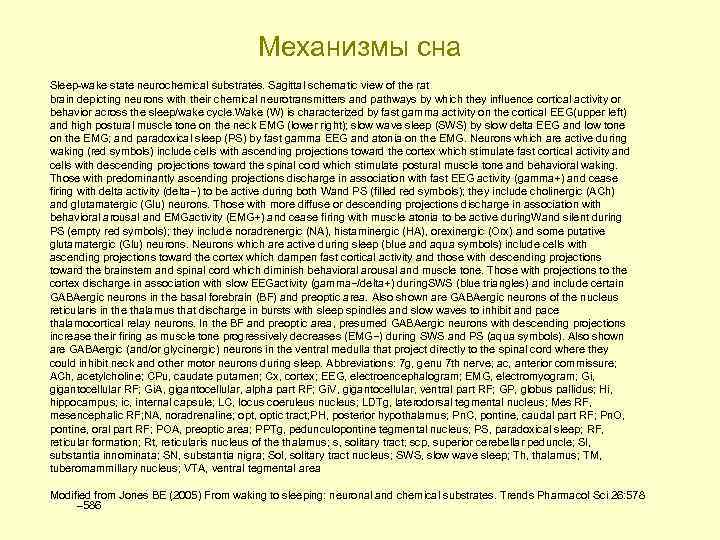 Механизмы сна Sleep-wake state neurochemical substrates. Sagittal schematic view of the rat brain depicting