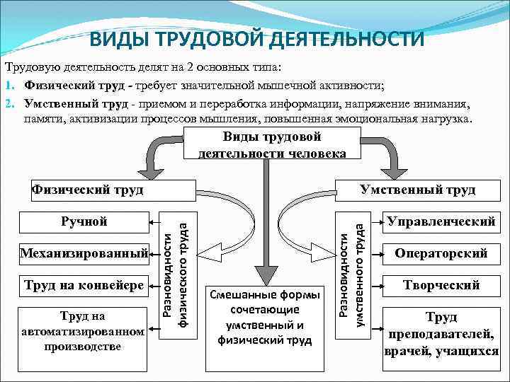 Виды трудовых процессов