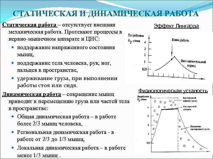 Нарисуйте график зависимости величины динамической работы изолированной мышцы от нагрузки