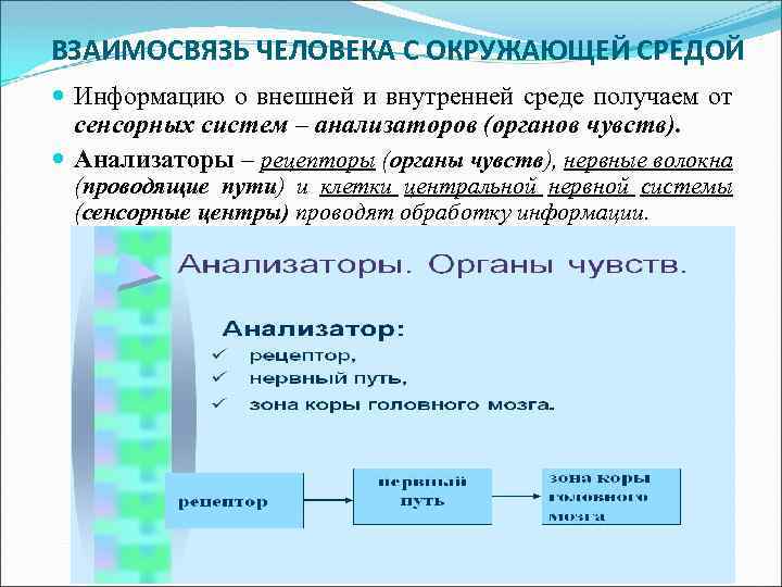 Среда информации. Взаимосвязь человека с окружающей средой. Процесс взаимодействия человека с окружающей средой. Взаимосвязь человека и среды. Форма взаимодействия личности с окружающей средой.