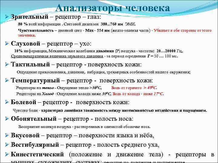 Анализаторы человека Ø Зрительный – рецептор – глаз: 80 % всей информации. Световой диапазон