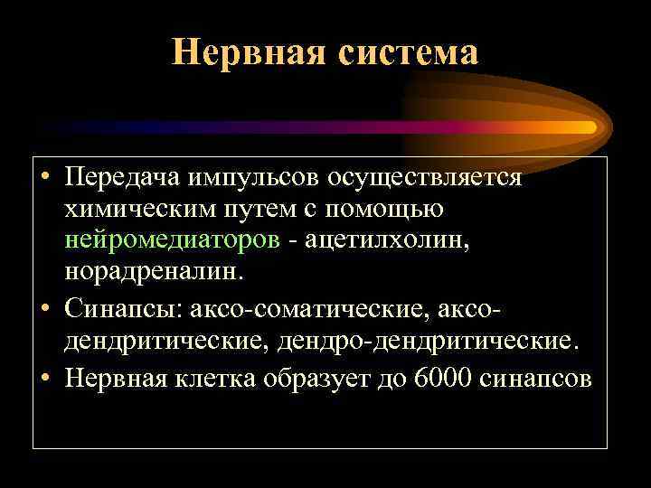 Нервная система • Передача импульсов осуществляется химическим путем с помощью нейромедиаторов - ацетилхолин, норадреналин.
