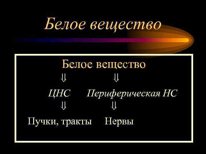 Белое вещество ЦНС Периферическая НС Пучки, тракты Нервы 