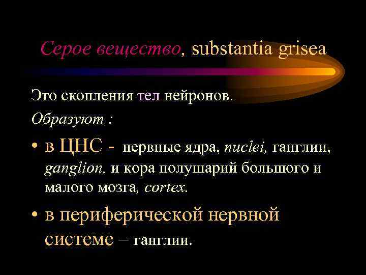 Серое вещество, substantia grisea Это скопления тел нейронов. Образуют : • в ЦНС -