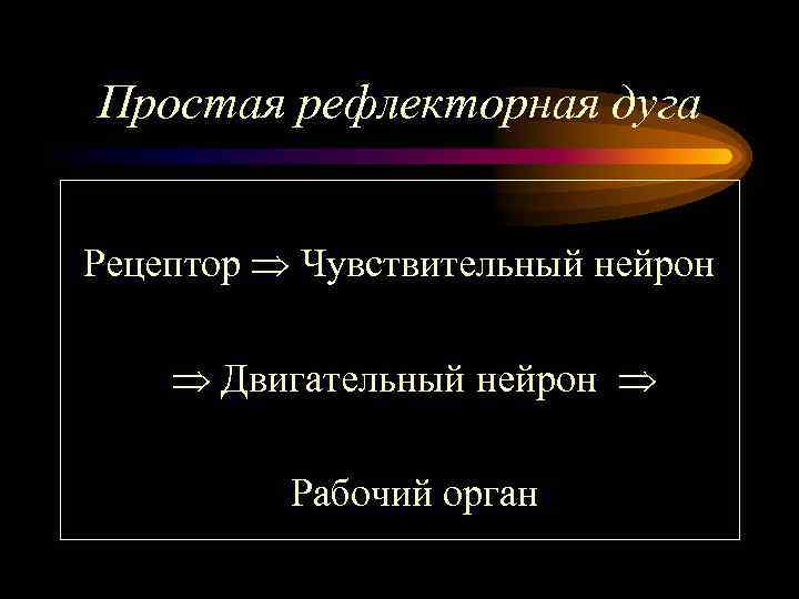 Простая рефлекторная дуга Рецептор Чувствительный нейрон Двигательный нейрон Рабочий орган 