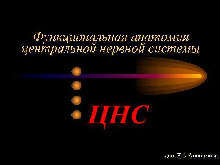 Функциональная анатомия центральной нервной системы ЦНС доц. Е. А. Анисимова 