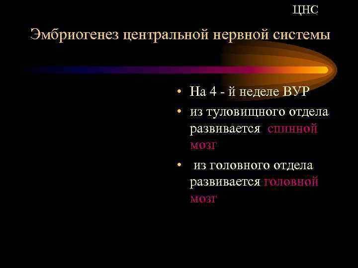 ЦНС Эмбриогенез центральной нервной системы • На 4 - й неделе ВУР • из