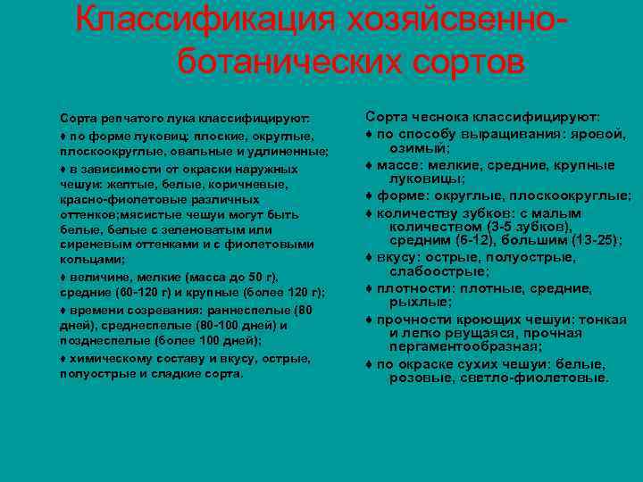 Классификация хозяйсвенно- ботанических сортов Сорта репчатого лука классифицируют: ♦ по форме луковиц: плоские, округлые,