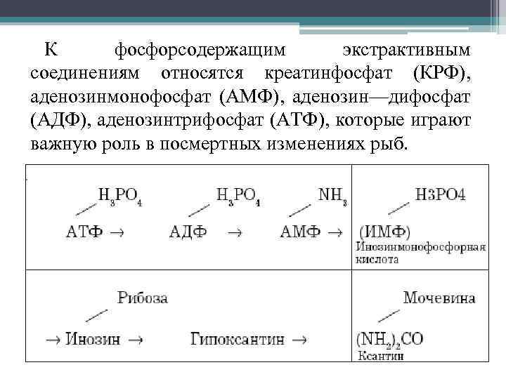 К фосфорсодержащим экстрактивным соединениям относятся креатинфосфат (КРФ), аденозинмонофосфат (АМФ), аденозин—дифосфат (АДФ), аденозинтрифосфат (АТФ), которые