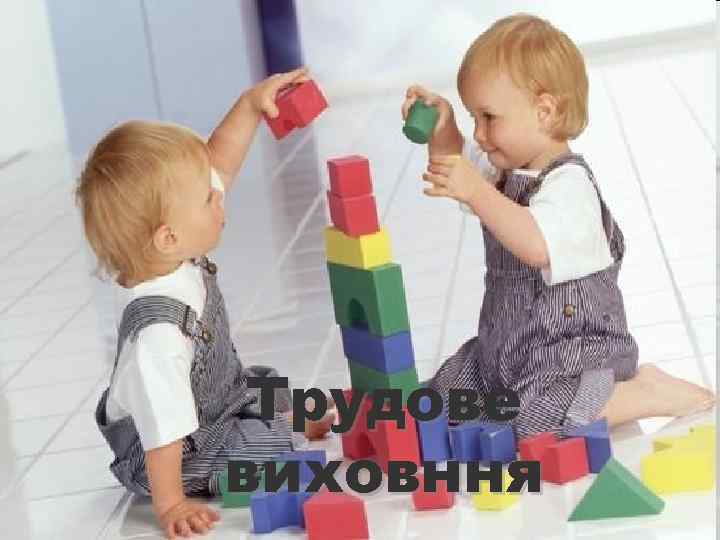 Трудове виховння 