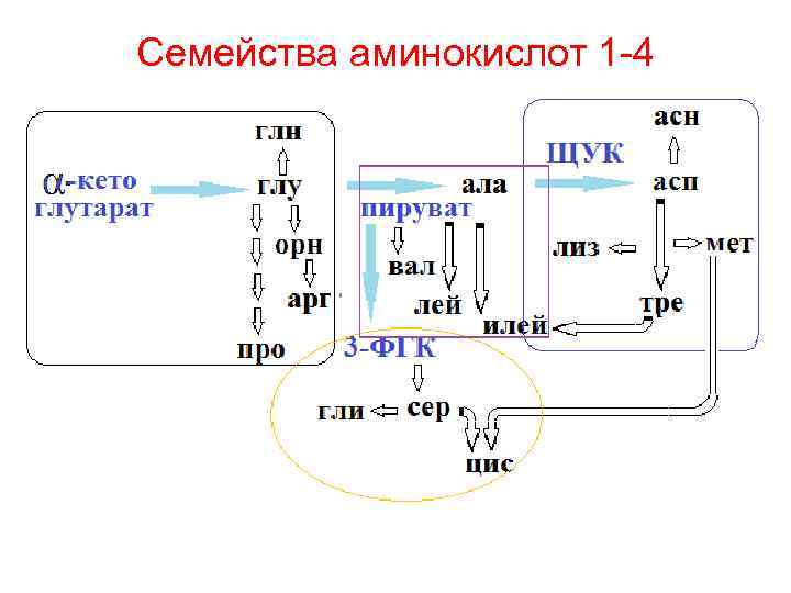 Последовательность бронепроводов ланос