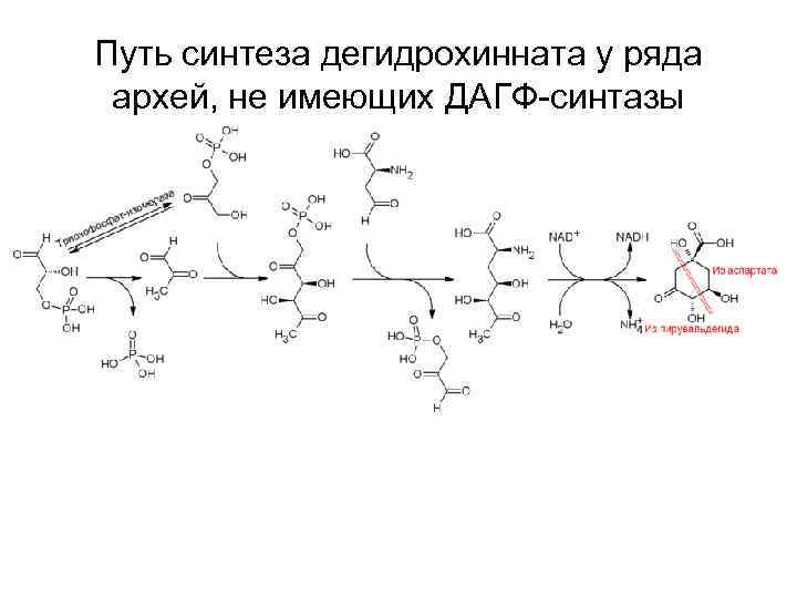 Секрет синтеза 2 архейдж не работает