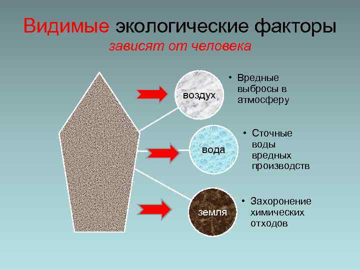 Видимые экологические факторы зависят от человека воздух • Вредные выбросы в атмосферу вода •