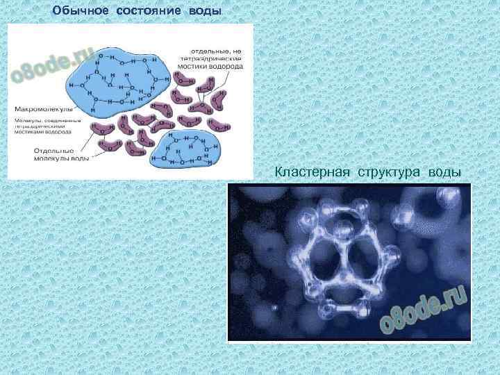 Обычное состояние воды Кластерная структура воды 