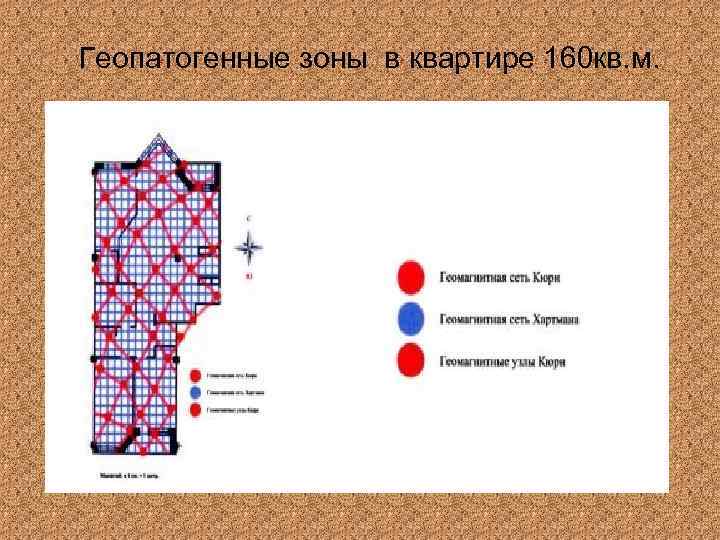 Геопатогенные зоны в квартире 160 кв. м. 