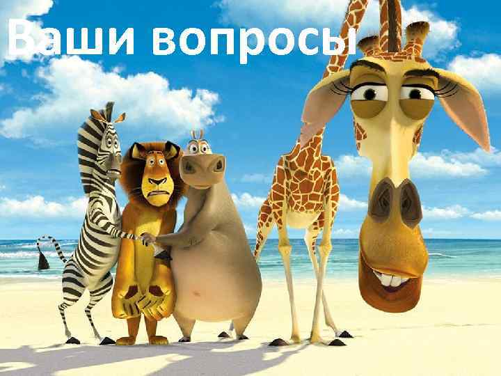 Ваши вопросы 