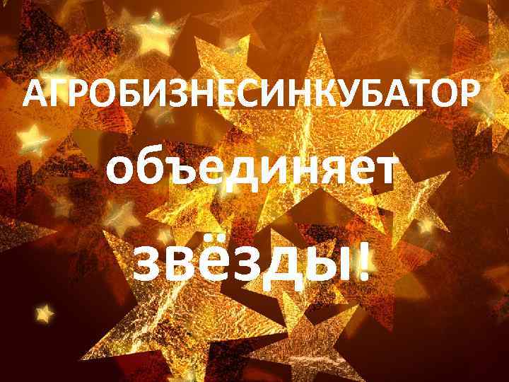 АГРОБИЗНЕСИНКУБАТОР объединяет звёзды! 