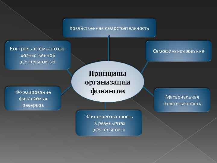 Принципы экономической деятельности