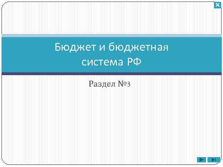 Бюджет и бюджетная система РФ Раздел № 3 