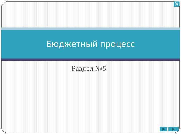 Бюджетный процесс Раздел № 5 