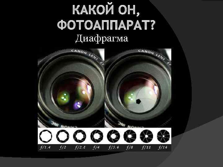 КАКОЙ ОН, ФОТОАППАРАТ? Диафрагма 