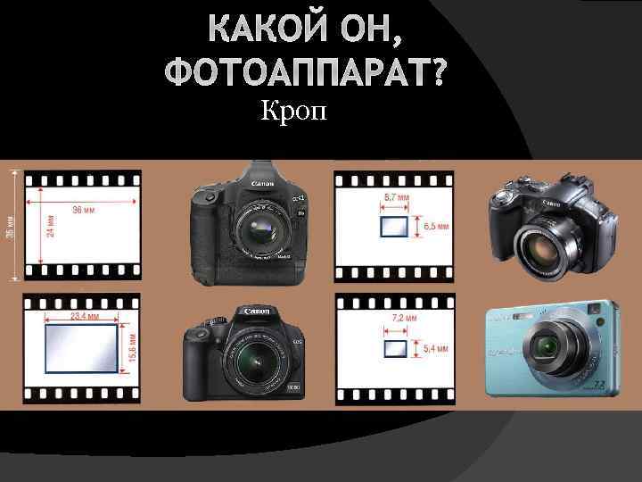 Что такое кроп в фотографии