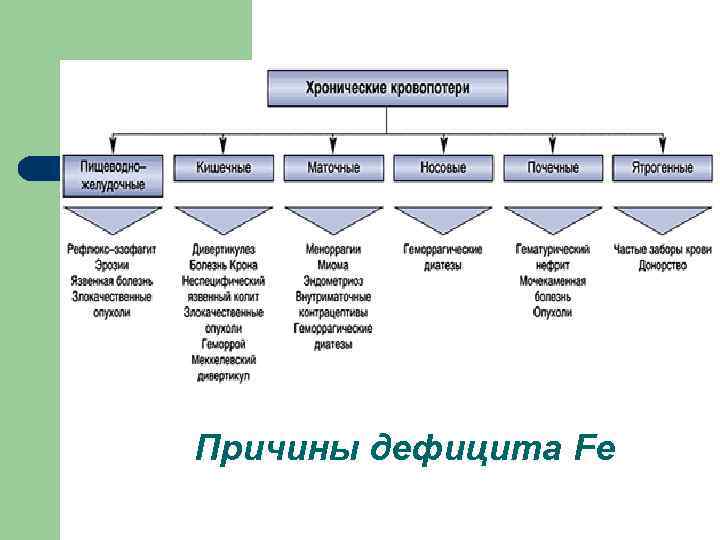 Причины дефицита Fe 