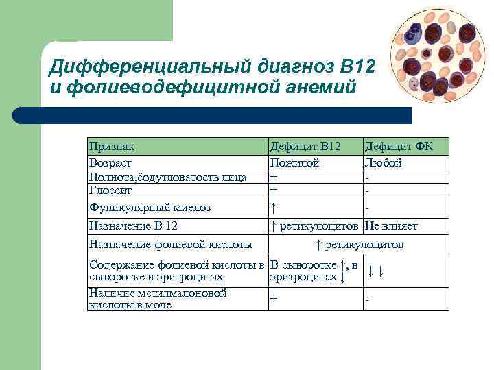 Картина крови при в12 и фолиеводефицитной анемии