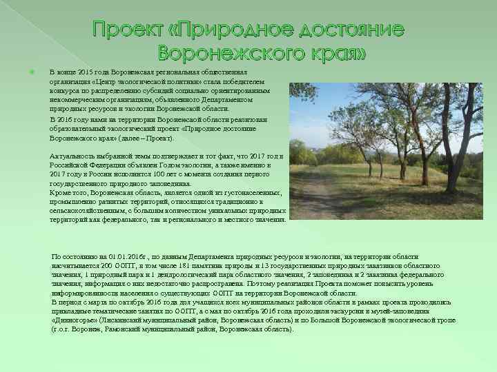 Проект «Природное достояние Воронежского края» В конце 2015 года Воронежская региональная общественная организация «Центр