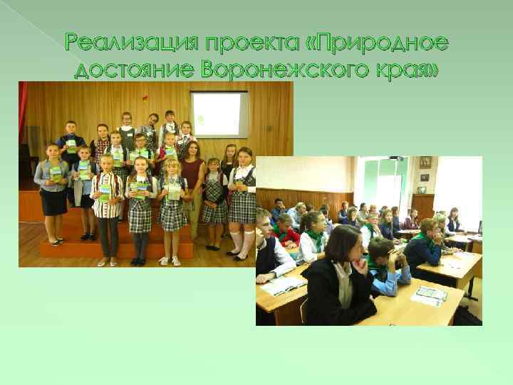 Реализация проекта «Природное достояние Воронежского края» 