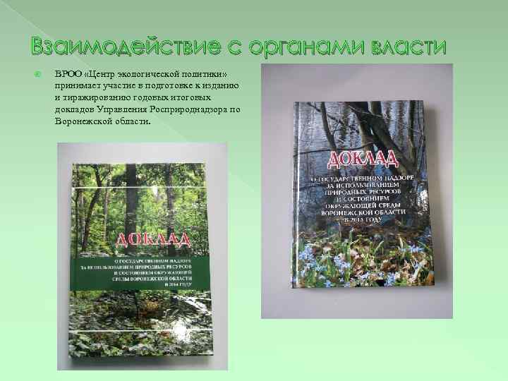 Взаимодействие с органами власти ВРОО «Центр экологической политики» принимает участие в подготовке к изданию