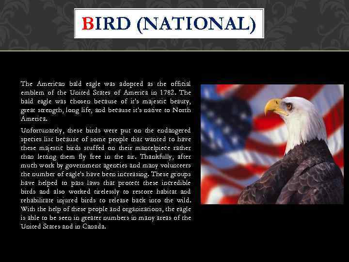 BIRD (NATIONAL) The American bald eagle was adopted as the official emblem of the