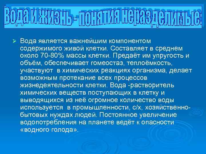 Ø Вода является важнейшим компонентом содержимого живой клетки. Составляет в среднем около 70 -80%