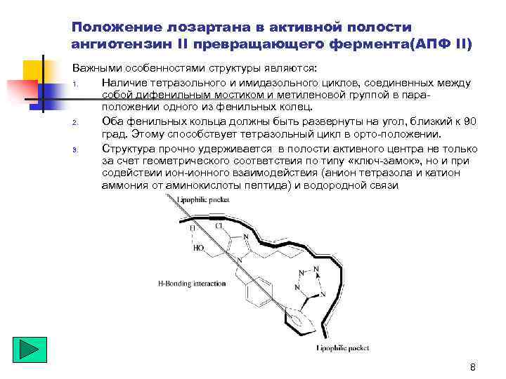 Положение лозартана в активной полости ангиотензин II превращающего фермента(АПФ II) Важными особенностями структуры являются: