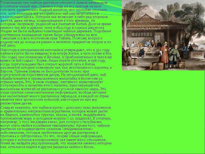 Упоминания про чайное растение относят к самым начальным столетиям нашей эры. Именно тогда из