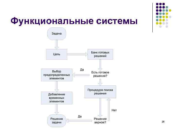 Функциональные системы 26 